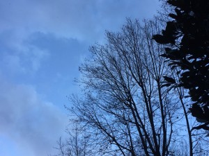 IMG-20160216-WA0002