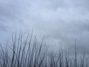 IMG-20160215-WA0000