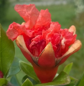 WP_20160605_010