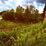 L’esperienza della giornata di intensivo alla Badia di Torrechiara: alcune condivisioni